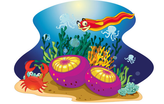 sea animals