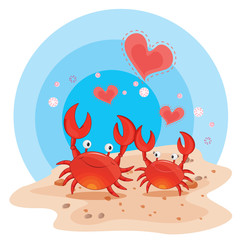 Image of crabs on beach printed on Printed Glass Basin Splashbacks