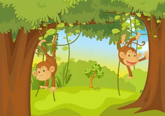 Outdoor kussens apen © GraphicsRF