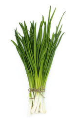 Arrows young green onions linked bow of rope