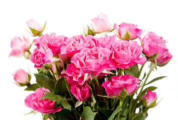 Obraz na płótnie Canvas Rose flowers over white