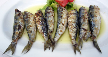 Gourmet fresh sardine fish in olive oil.