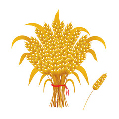 vector golden sheaf of wheat, ear of wheat