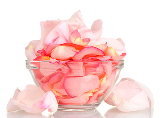 Obraz na płótnie Canvas beautiful pink rose petals in glass bowl isolated on white