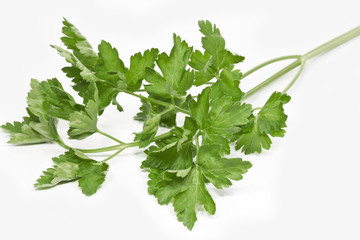 Petersilie auf weißem Hintergrund