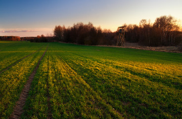 Field with raised hide