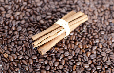 canelle sur fond de café en grain