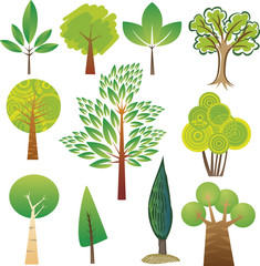 Samples of various tree species in various styles