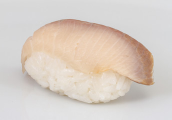 closeup of a young yellow-tail sushi