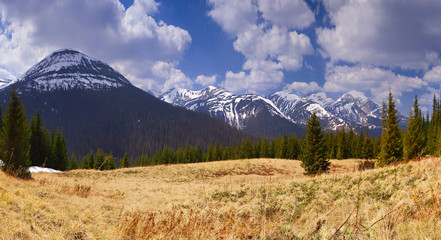 Obraz premium Panorama of the spring mountains