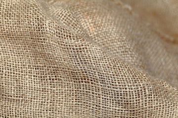 Jute