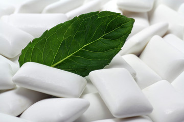 kagummi mit minze © Schlierner