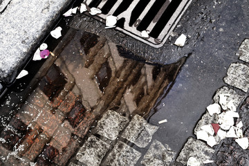 reflection in the water