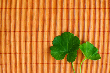 Plant over a bamboo matt