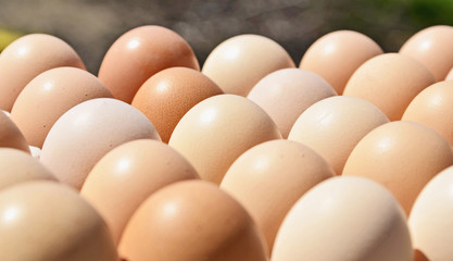 closeup of a pile of brown eggs