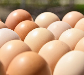 closeup of a pile of brown eggs