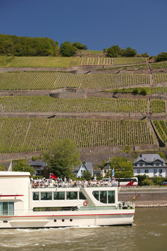 Passagierschiff auf dem Rhein (Rhine)