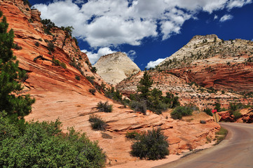 Zion National Park