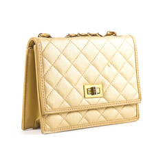 Luxury women bag isolated over white