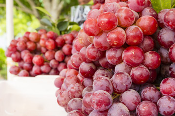 Grapes on market stand