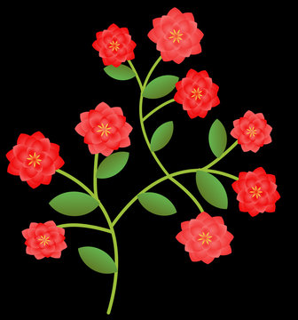 Red roses bush  illustration