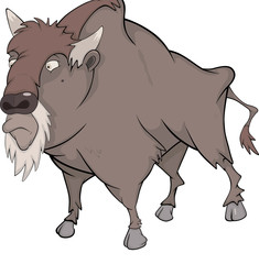 Bison, buffalo. Cartoon