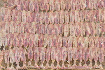 dried squid on the net