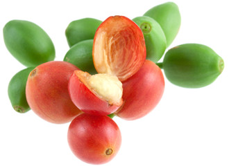 cerises de café