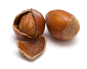 two hazelnuts