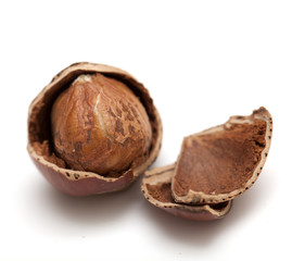 hazelnut close-up