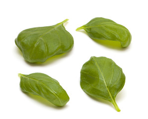 four leafs of basil