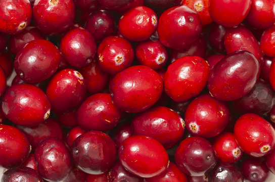 cranberries background