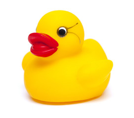 rubber duck