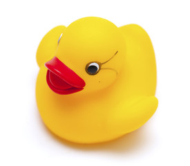 rubber duck