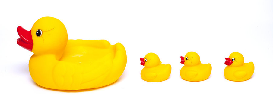 Rubber Duck Family