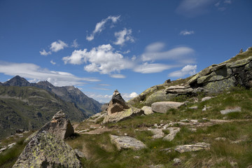 Alpine landscape