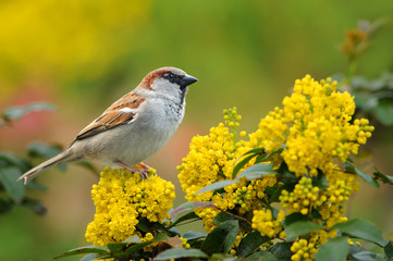 Frühling 131