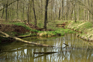 Fototapeta premium Landschaft 207