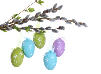 pussy-willow twigs with Easter eggs isolated on white