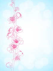 Fototapeta premium background with sakura flowers