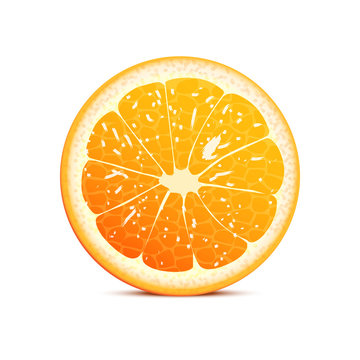 orange vector illustration