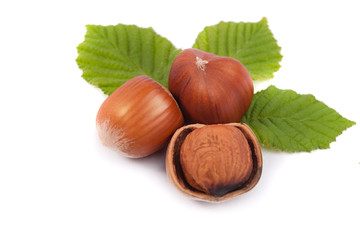 Hazelnuts  isolated on a white background