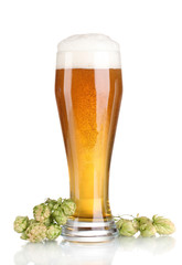 beer in a glass and green hop isolated on white