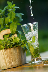 Fresh water with mint