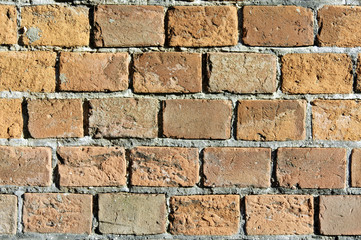 Brick Panel Background