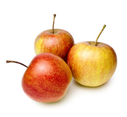 many apples isolated on white background