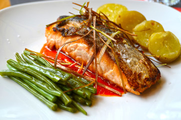 salmon