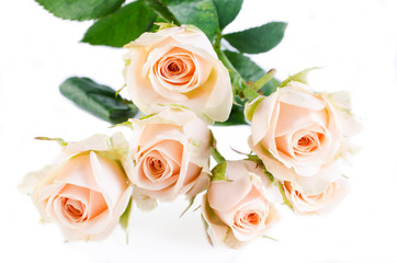 Obraz na płótnie Canvas Beautyful roses bouquet