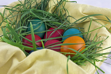 Easter eggs in a nest