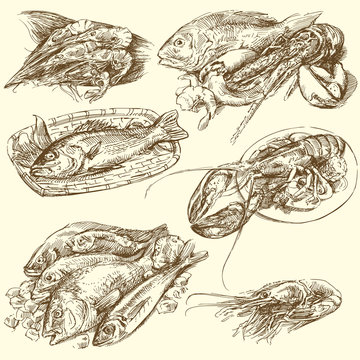 sea food, fish collection